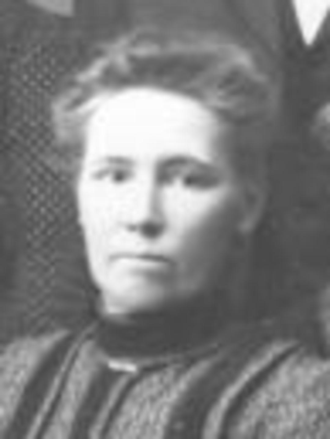 Julia Ellen Whitehead (1860 - 1925) Profile